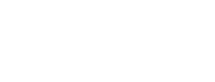 Ford Navesa